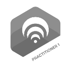 T2D3 Practitioner 1 (1)